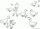 cliquez ici pour voir l'image (10.gif)