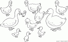 cliquez ici pour voir l'image (11.gif)
