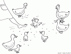 cliquez ici pour voir l'image (12.gif)