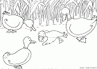 cliquez ici pour voir l'image (13.gif)