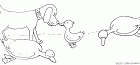 cliquez ici pour voir l'image (15.gif)