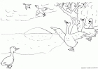 cliquez ici pour voir l'image (18.gif)