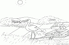 cliquez ici pour voir l'image (1.gif)