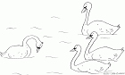 cliquez ici pour voir l'image (22.gif)