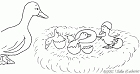 cliquez ici pour voir l'image (3.gif)