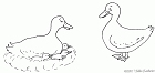 cliquez ici pour voir l'image (5.gif)