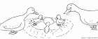 cliquez ici pour voir l'image (6.gif)